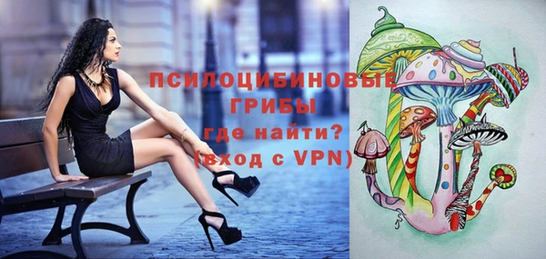 apvp Аркадак