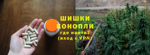 apvp Аркадак