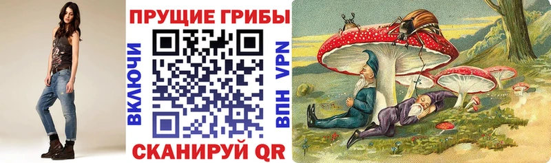 omg онион  Бахчисарай  Псилоцибиновые грибы Psilocybe  где купить наркотик 